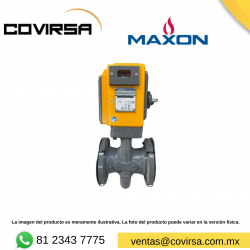125SMM11-AA11-BA&0A0 MAXON