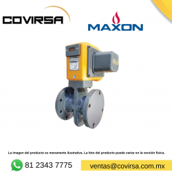 200SMA11-AA11-BB22A0 MAXON