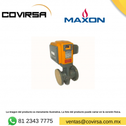 200SMA22-BA11-BB21B0 MAXON