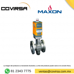 250C8111-BA11-B1A0100 MAXON