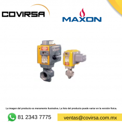 250CMA11-AA11-BB21A0 MAXON