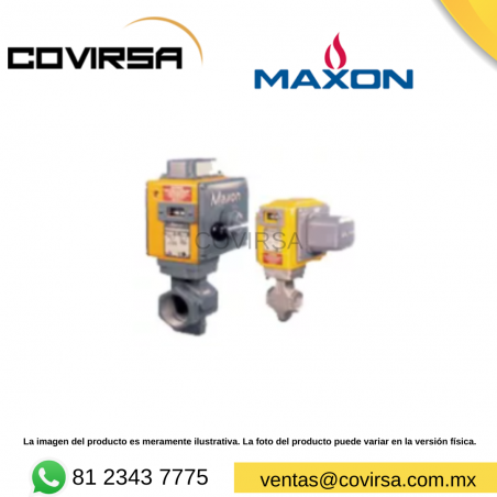 41649 MAXON